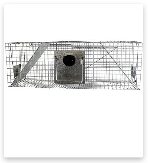 Havahart 998 Grande cage pour animaux vivants à 2 portes, à déclenchement sécurisé, pour les ratons laveurs.