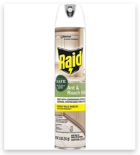Raid Killer Spray for Listed Bugs, Insect, Spider, Kitchen Ant Killer