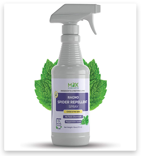 Mdxconcepts Spray Repelente de Arañas Orgánico - Aceite de Menta