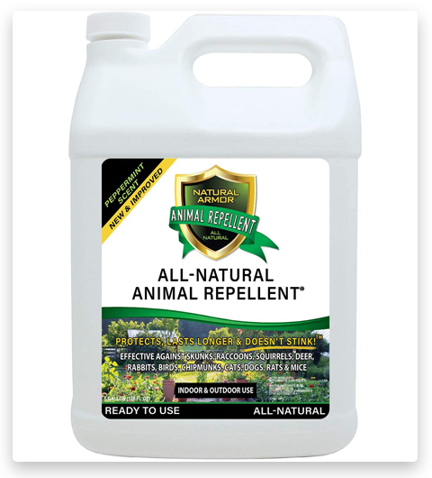 Natural Armor Animal & Rodent Skunk Repellent Spray