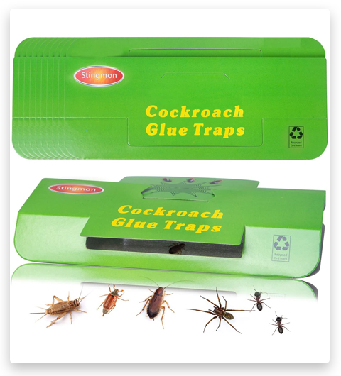 Stingmon Cockroach / Roach Glue Traps