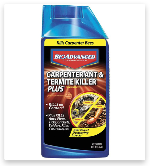 Gel BioAdvanced contre les fourmis charpentières et Termite Killer Plus