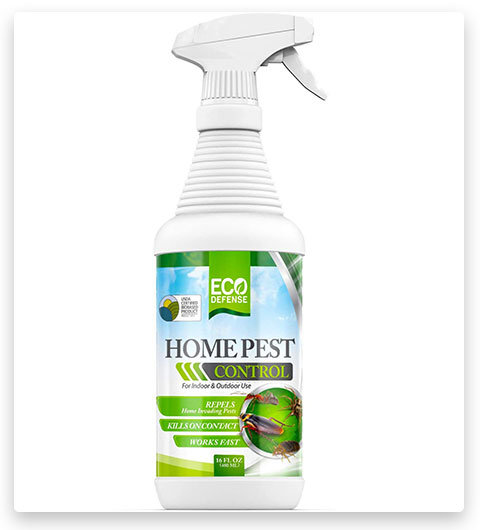 Eco Defense Home Schädlingsbekämpfung Ameisenspray