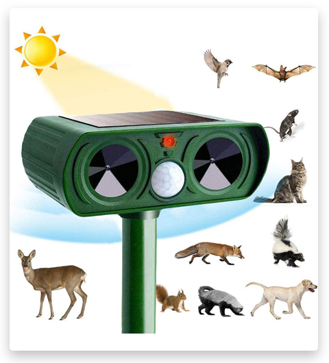 Wondery Repellente per cani a ultrasuoni, Repellente per animali domestici a ultrasuoni verde con sensore di movimento e luci lampeggianti