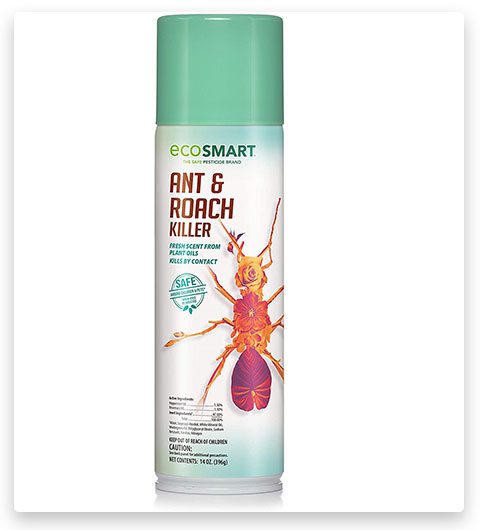 EcoSMART insecticide en aérosol pour cafards et fourmis