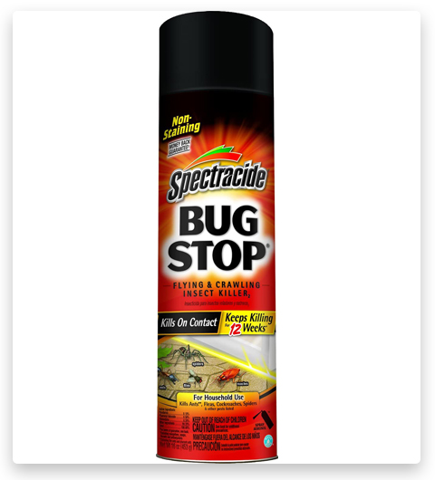 Spectracide Stop Flying & Crawling Bee Killer Spray