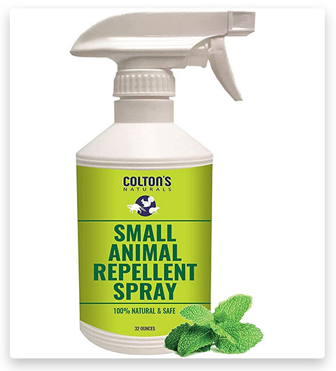 Spray répulsif naturel pour rongeurs, parfait pour les ratons laveurs.