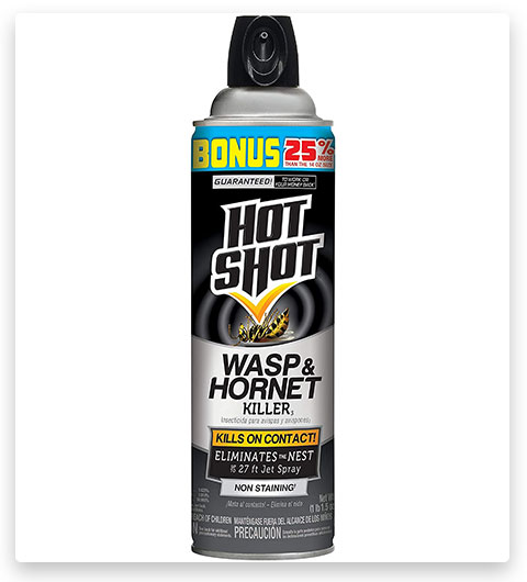 Hot Shot Wasp Spray & Hornet Killer