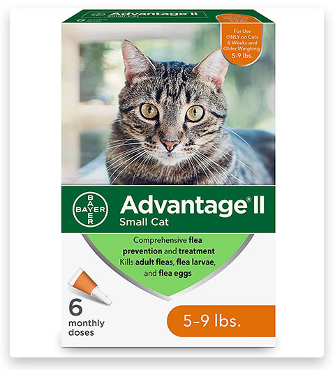 Advantage II Trattamento e prevenzione delle pulci per gatti di piccola taglia, 5-9 libbre