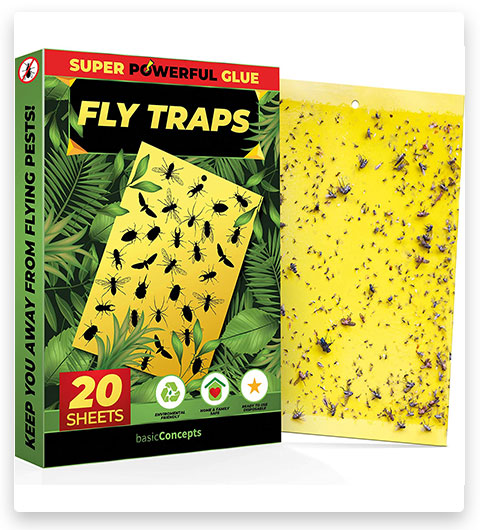 Concetti di base Trappola per mosche della frutta