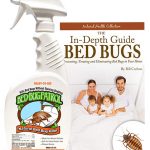 Best Bed Bug Sprays 2022