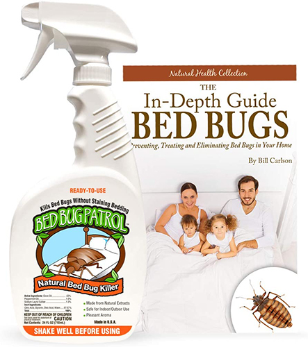 Per saperne di più sull'articolo Best Bed Bug Sprays 2022