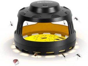 Más información sobre el artículo Best Bed Bug Traps 2022