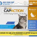 El mejor tratamiento antipulgas para gatos 2022