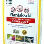 Best Rabbit Repellent 2022