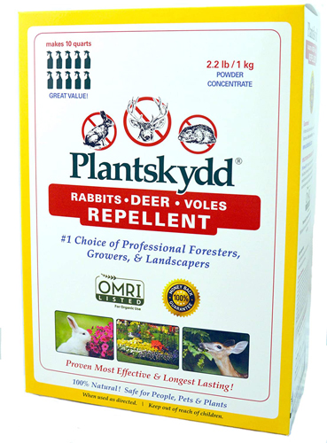 Más información sobre el artículo Best Rabbit Repellent 2023