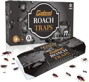Read more about the article Best Roach Traps 2023