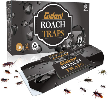 Lesen Sie mehr über den Artikel Best Roach Traps 2023