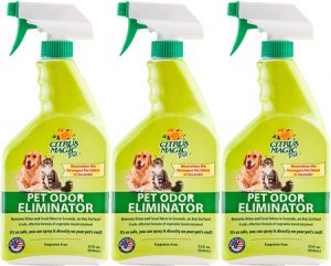 Read more about the article Best Skunk Remover for Dogs 2023