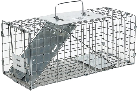 Read more about the article Best Skunk Traps 2022