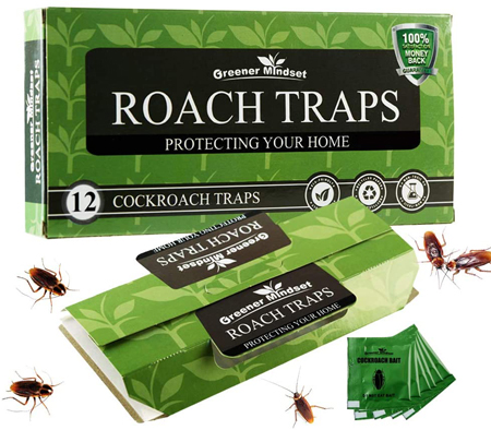 Read more about the article Best Spider Traps 2022