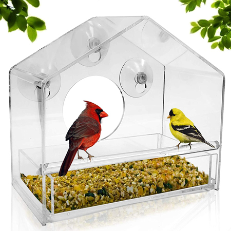 Read more about the article Best Squirrel-Proof Bird Feeder 2023