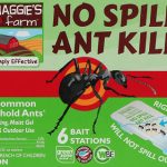 Best Sugar Ant Killer 2022