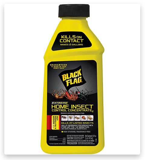 Black Flag Extreme Home Insect Control Concentrate