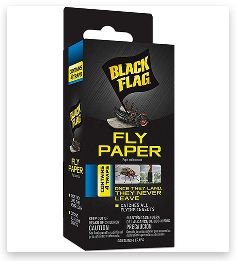 Trampa de papel para insectos de la mosca negra