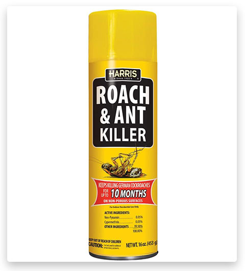 HARRIS Disinfestante per scarafaggi e formiche, Spray aerosol