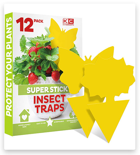 KeyConcepts Fruit Fly Traps Indoor