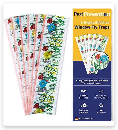 PestPrevention Window Fly Traps