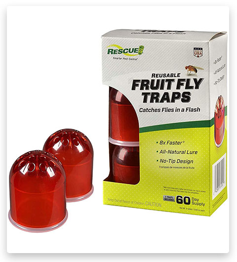 RESCUE! Trappola per mosche della frutta riutilizzabile e non tossica per interni con attrattivo liquido