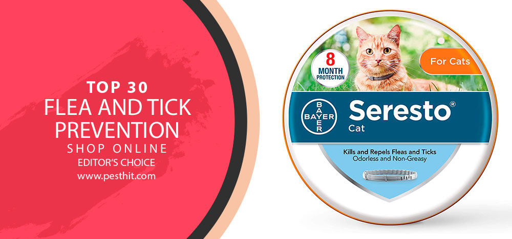 Best Flea And Tick Prevention