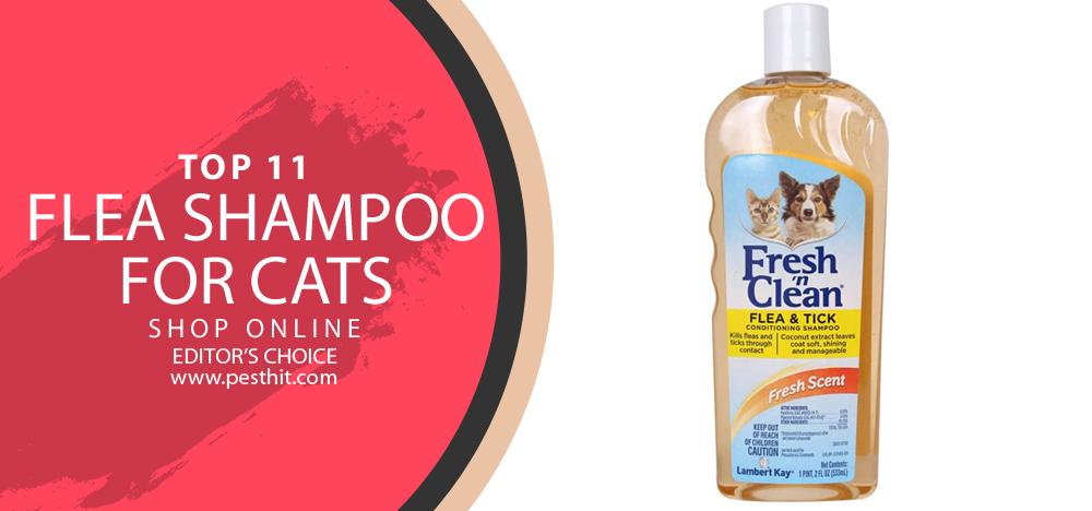 Best Flea Shampoo for Cats