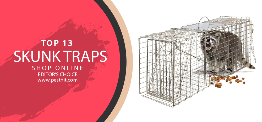 Best Skunk Traps