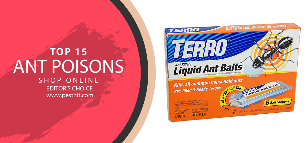 Best Ant Poisons