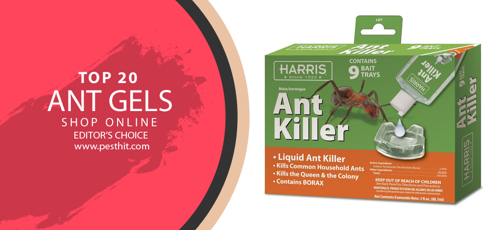Les meilleurs gels anti-fourmis