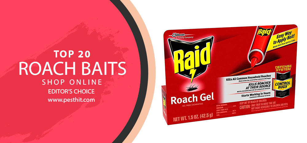 Best Roach Baits