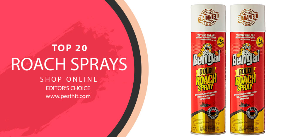 Los 20 mejores sprays para cucarachas