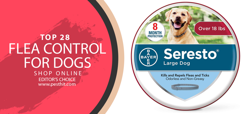Best Flea Control For Dogs
