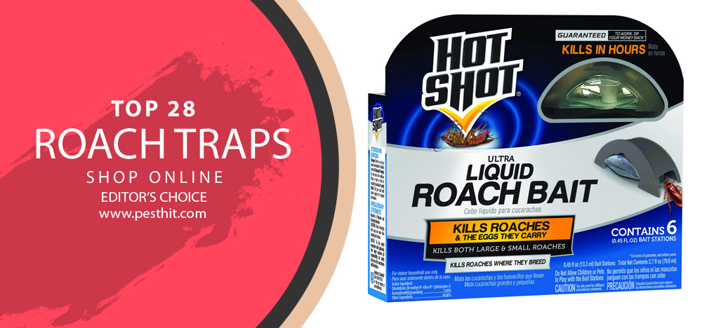 Best Roach Traps
