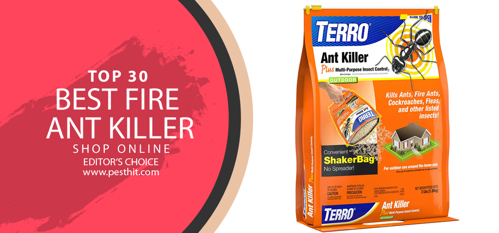 Best Fire Ant Killer