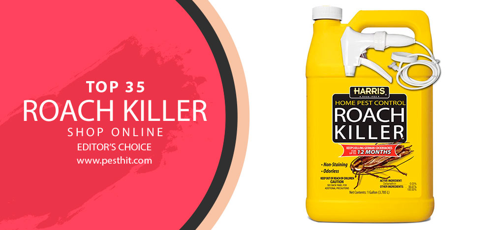 Top 35 Roach Killer