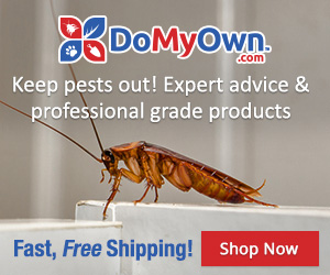 PestHit - Lutte contre les parasites - Bannière DoMyOwn