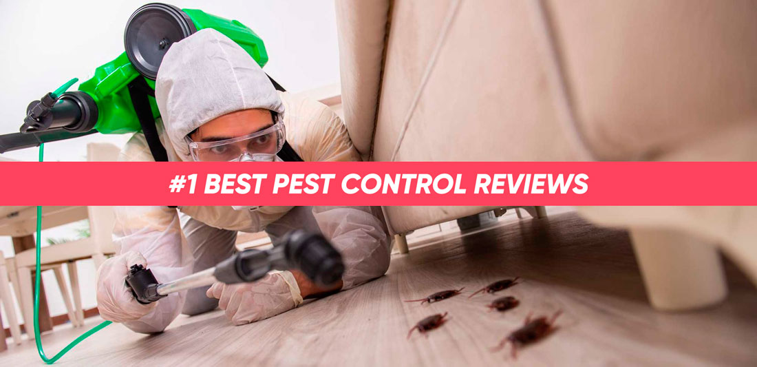 PestHit - Best Pest Control Reviews