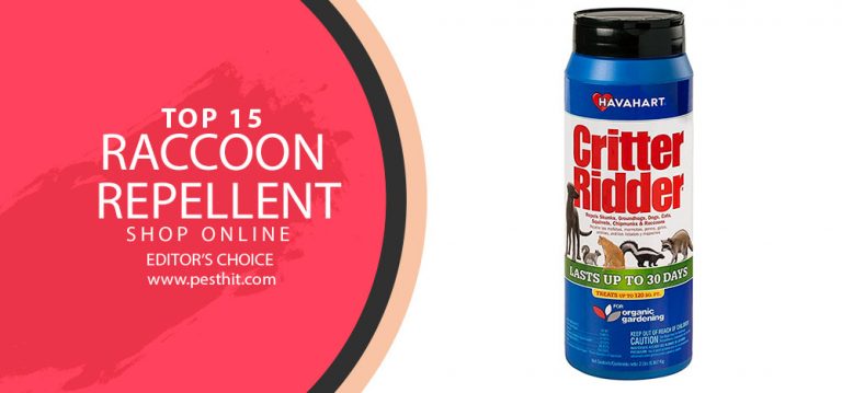 Best Raccoon Repellent 2023 TOP 15 Raccoon Repellents   Top 15 Raccoon Repellent 768x359 