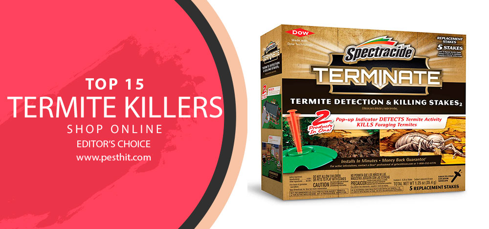 Les meilleurs tueurs de termites