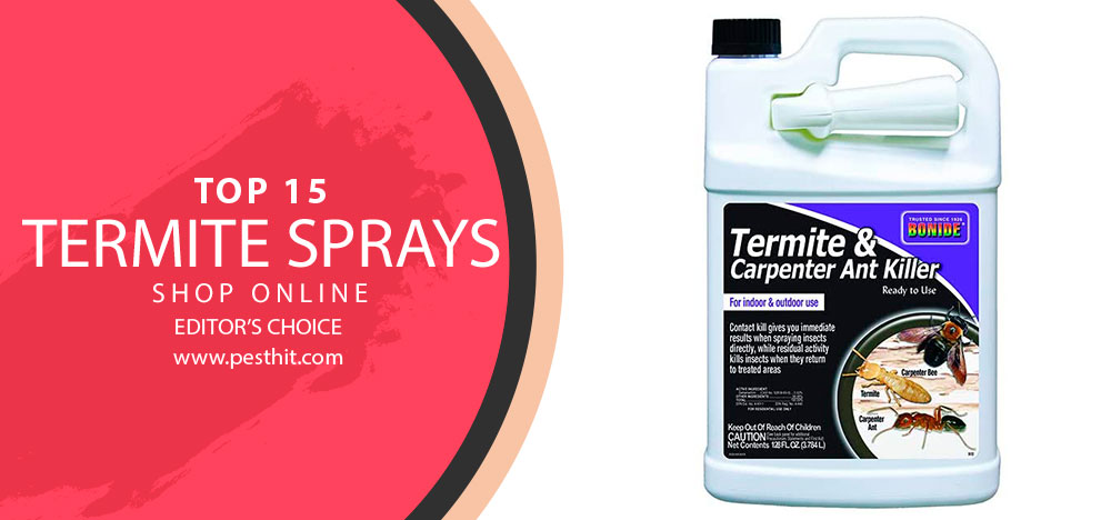 Los mejores sprays contra las termitas