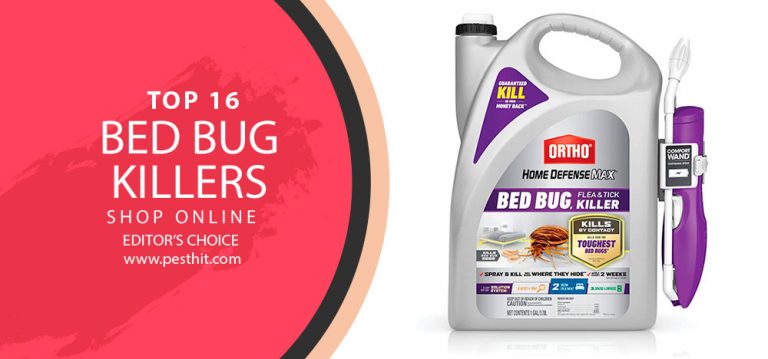 Best Bed Bugs Killers 2023 Top 16 Bed Bugs Killers 6535